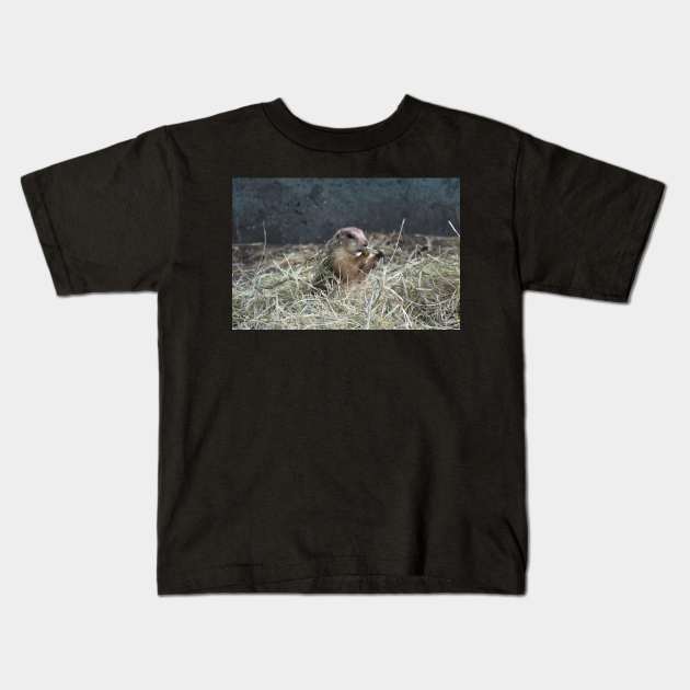 Prairie Dog in Hay Kids T-Shirt by MarieDarcy